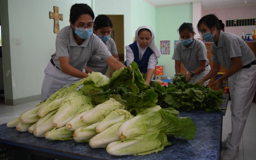 Taking Action by Promoting Vegetarianism Amidst the Pandemic Crisis (CoViD-19)