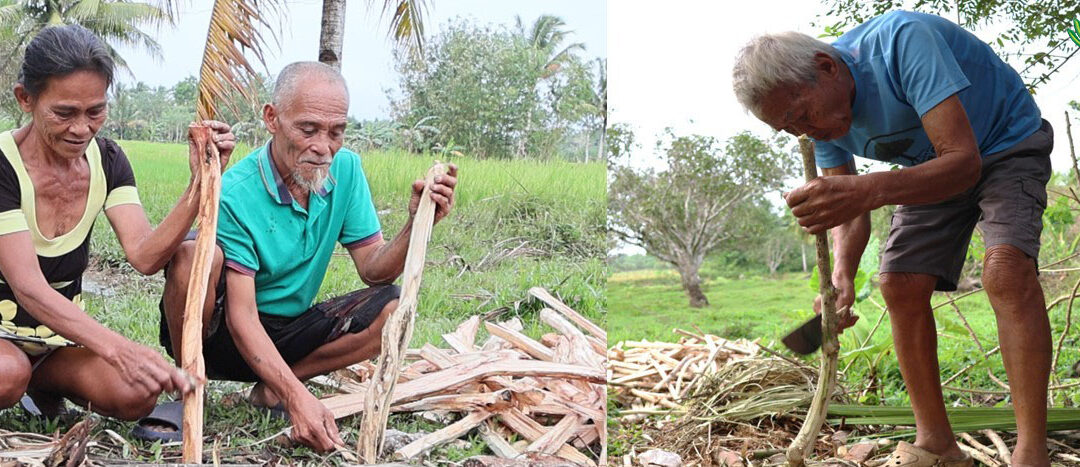 Sagbayan Seniors Endure Life Making Firewood